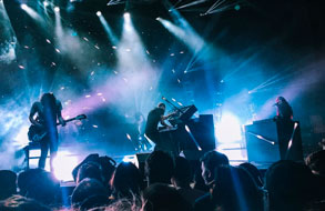 Shows & Performances